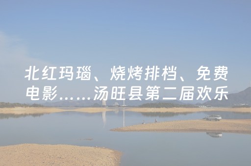 教程辅助“麻将机程序检测器”（详细透视教程）-哔哩哔哩