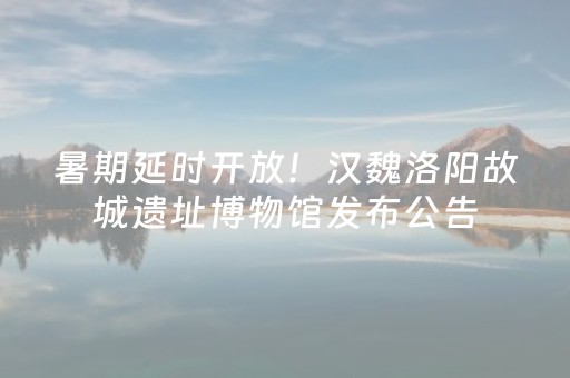 终于发现了“麻友圈2辅助器怎么安装”（详细透视教程）-哔哩哔哩