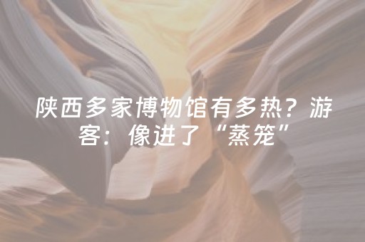 教程辅助“微乐河南麻将为什么总是输”（详细透视教程）-哔哩哔哩