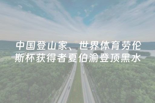 实测分享“雀神小程序免费黑科技”（详细透视教程）-哔哩哔哩