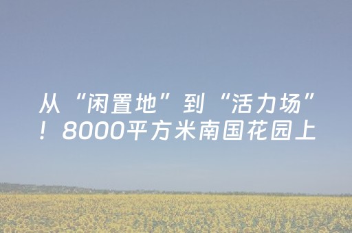 2分钟秒懂！“哈灵杭州麻将有挂吗”（详细开挂教程）-哔哩哔哩