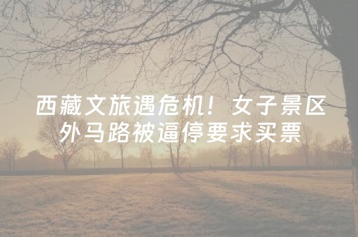 教程辅助“支付宝红包尾数控制器”（详细透视教程）-哔哩哔哩
