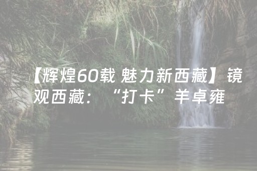 玩家必看教程！“微乐湖南麻将助攻神器”（详细辅助教程）-哔哩哔哩