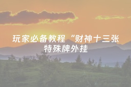 玩家必备教程“财神十三张特殊牌外挂（助赢神器通用版）
