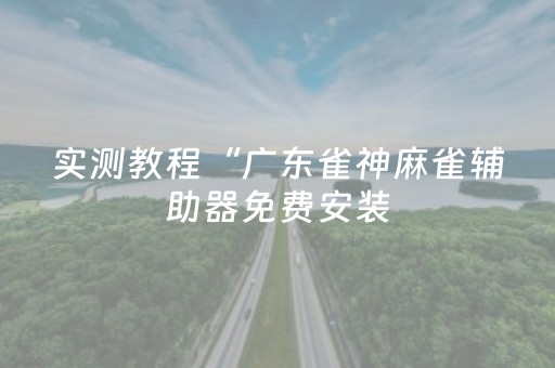 实测教程“广东雀神麻雀辅助器免费安装（助赢神器通用版）