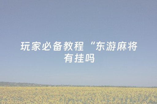 玩家必备教程“东游麻将有挂吗（专用辅牌神器免安装）