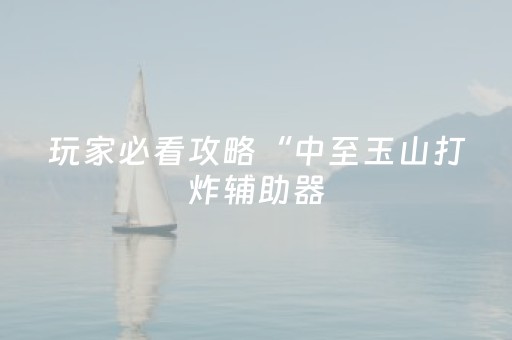 玩家必看攻略“中至玉山打炸辅助器（专用辅牌神器免安装）