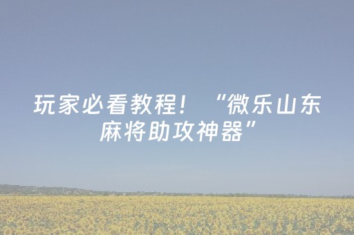 玩家必看教程！“微乐山东麻将助攻神器”（详细开挂教程）-哔哩哔哩
