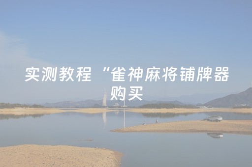实测教程“雀神麻将铺牌器购买（助赢神器通用版）