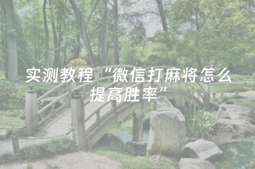 实测教程“微信打麻将怎么提高胜率”（详细透视教程）-哔哩哔哩