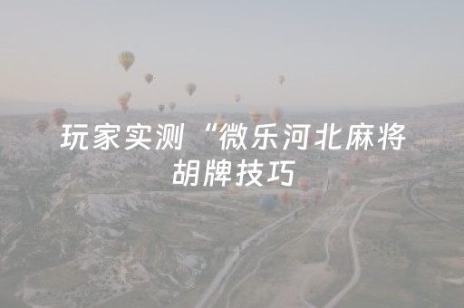 玩家实测“微乐河北麻将胡牌技巧（助赢神器通用版）