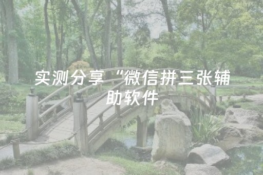 实测分享“微信拼三张辅助软件（专用辅牌神器免安装）