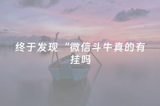 终于发现“微信斗牛真的有挂吗（专用辅牌神器免安装）