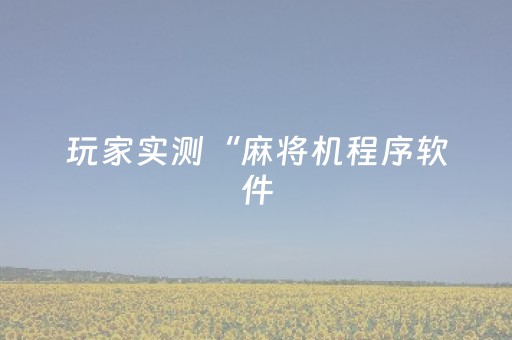 玩家实测“麻将机程序软件（助赢神器通用版）
