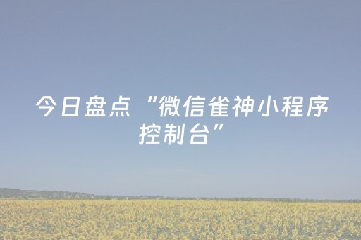 今日盘点“微信雀神小程序控制台”（详细辅助教程）-哔哩哔哩