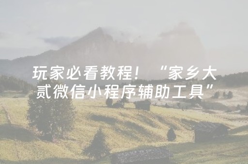 玩家必看教程！“家乡大贰微信小程序辅助工具”（详细辅助教程）-哔哩哔哩