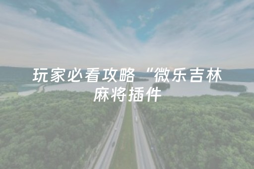 玩家必看攻略“微乐吉林麻将插件（专用辅牌神器免安装）