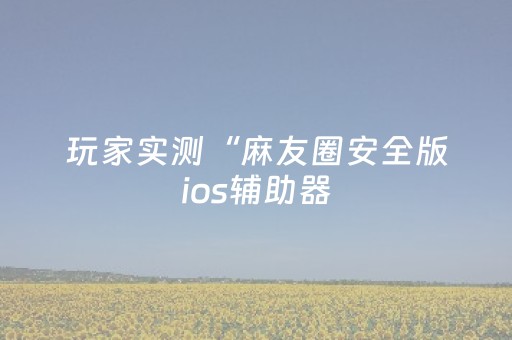 玩家实测“麻友圈安全版ios辅助器（专用辅牌神器免安装）