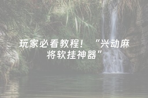 玩家必看教程！“兴动麻将软挂神器”（详细辅助教程）-哔哩哔哩