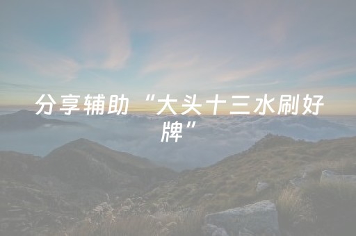 分享辅助“大头十三水刷好牌”（详细透视教程）-哔哩哔哩