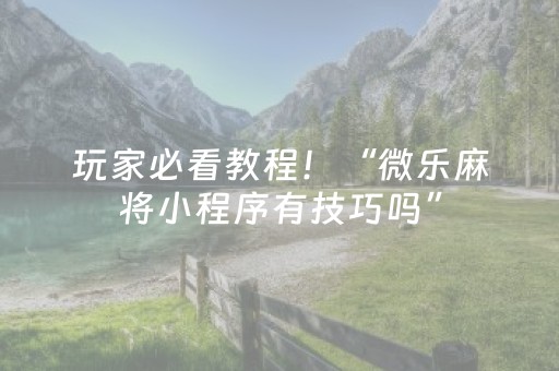 玩家必看教程！“微乐麻将小程序有技巧吗”（详细辅助教程）-哔哩哔哩