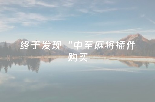 终于发现“中至麻将插件购买（专用辅牌神器免安装）