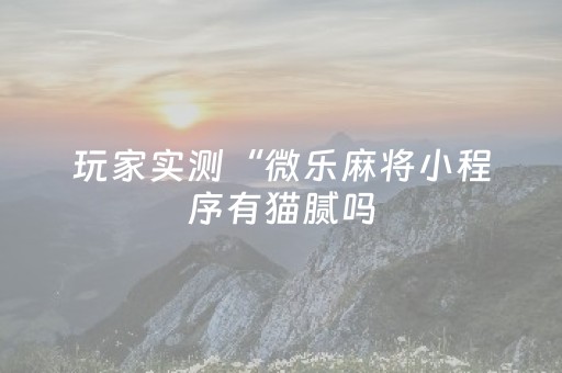 玩家实测“微乐麻将小程序有猫腻吗（助赢神器通用版）