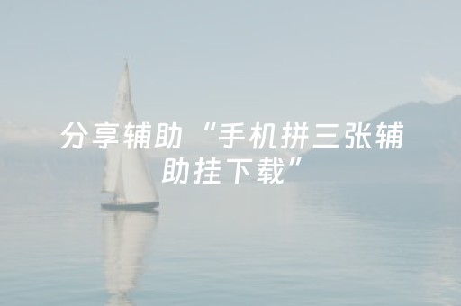 分享辅助“手机拼三张辅助挂下载”（详细透视教程）-哔哩哔哩