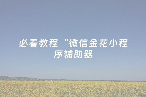 必看教程“微信金花小程序辅助器（助赢神器通用版）
