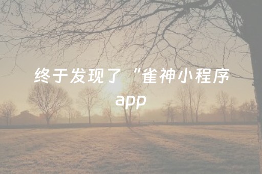 终于发现了“雀神小程序app（专用辅牌神器免安装）
