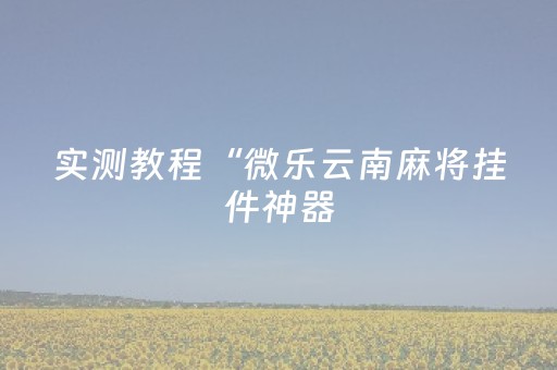 实测教程“微乐云南麻将挂件神器（助赢神器通用版）