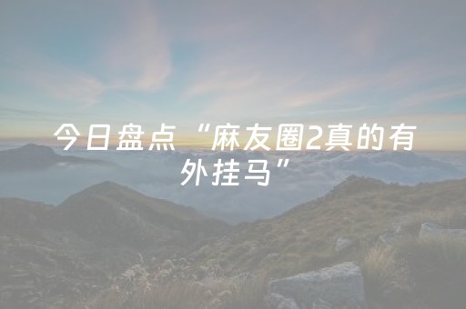 今日盘点“麻友圈2真的有外挂马”（详细辅助教程）-哔哩哔哩