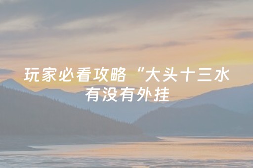 玩家必看攻略“大头十三水有没有外挂（专用辅牌神器免安装）
