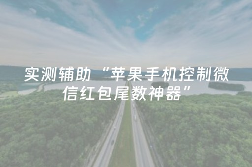 实测辅助“苹果手机控制微信红包尾数神器”（详细透视教程）-哔哩哔哩