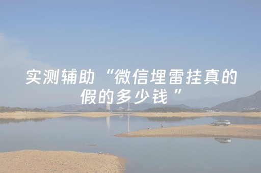 实测辅助“微信埋雷挂真的假的多少钱 ”（详细透视教程）-哔哩哔哩