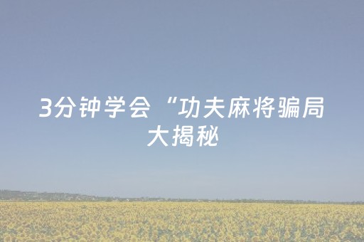 3分钟学会“功夫麻将骗局大揭秘（专用辅牌神器免安装）