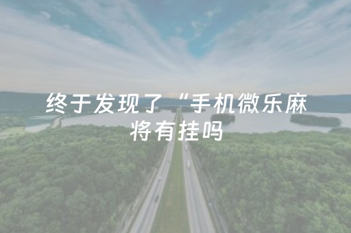 终于发现了“手机微乐麻将有挂吗（助赢神器通用版）