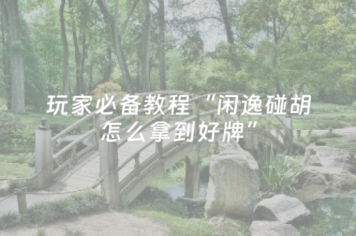 玩家必备教程“闲逸碰胡怎么拿到好牌”（详细透视教程）-哔哩哔哩