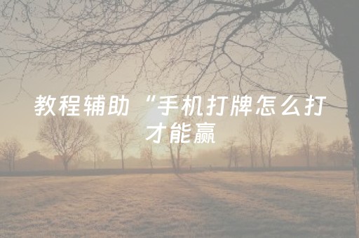 教程辅助“手机打牌怎么打才能赢（助赢神器通用版）