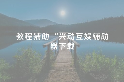 教程辅助“兴动互娱辅助器下载（专用辅牌神器免安装）