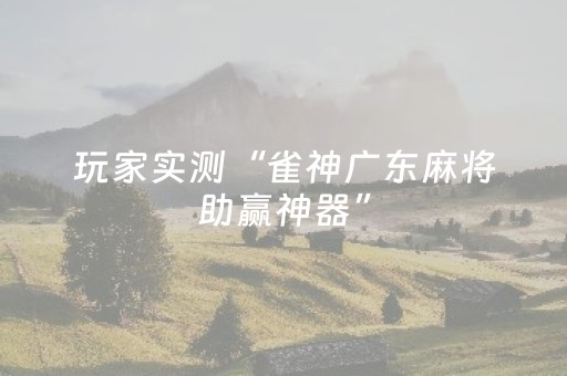 玩家实测“雀神广东麻将助赢神器”（详细透视教程）-哔哩哔哩