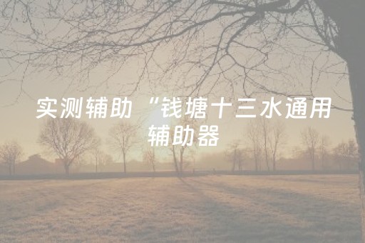 实测辅助“钱塘十三水通用辅助器（专用辅牌神器免安装）