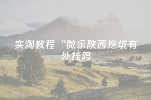 实测教程“微乐陕西挖坑有外挂吗（助赢神器通用版）