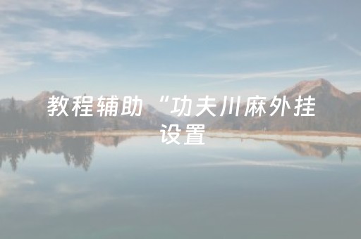 教程辅助“功夫川麻外挂设置（专用辅牌神器免安装）