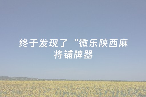 终于发现了“微乐陕西麻将铺牌器（专用辅牌神器免安装）