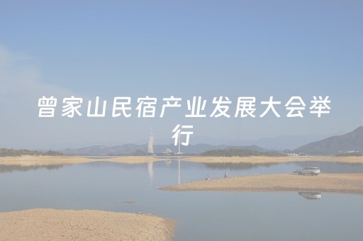 曾家山民宿产业发展大会举行