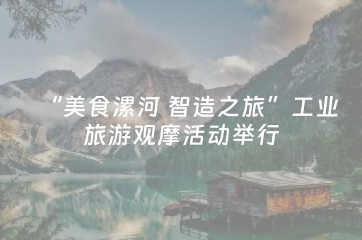 “美食漯河 智造之旅”工业旅游观摩活动举行