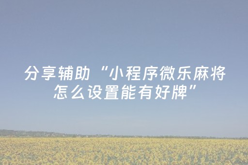 分享辅助“小程序微乐麻将怎么设置能有好牌”（详细透视教程）-哔哩哔哩