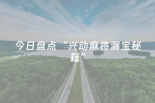 今日盘点“兴动麻将漏宝秘籍”（详细透视教程）-哔哩哔哩