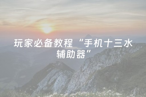 玩家必备教程“手机十三水辅助器”（详细透视教程）-哔哩哔哩